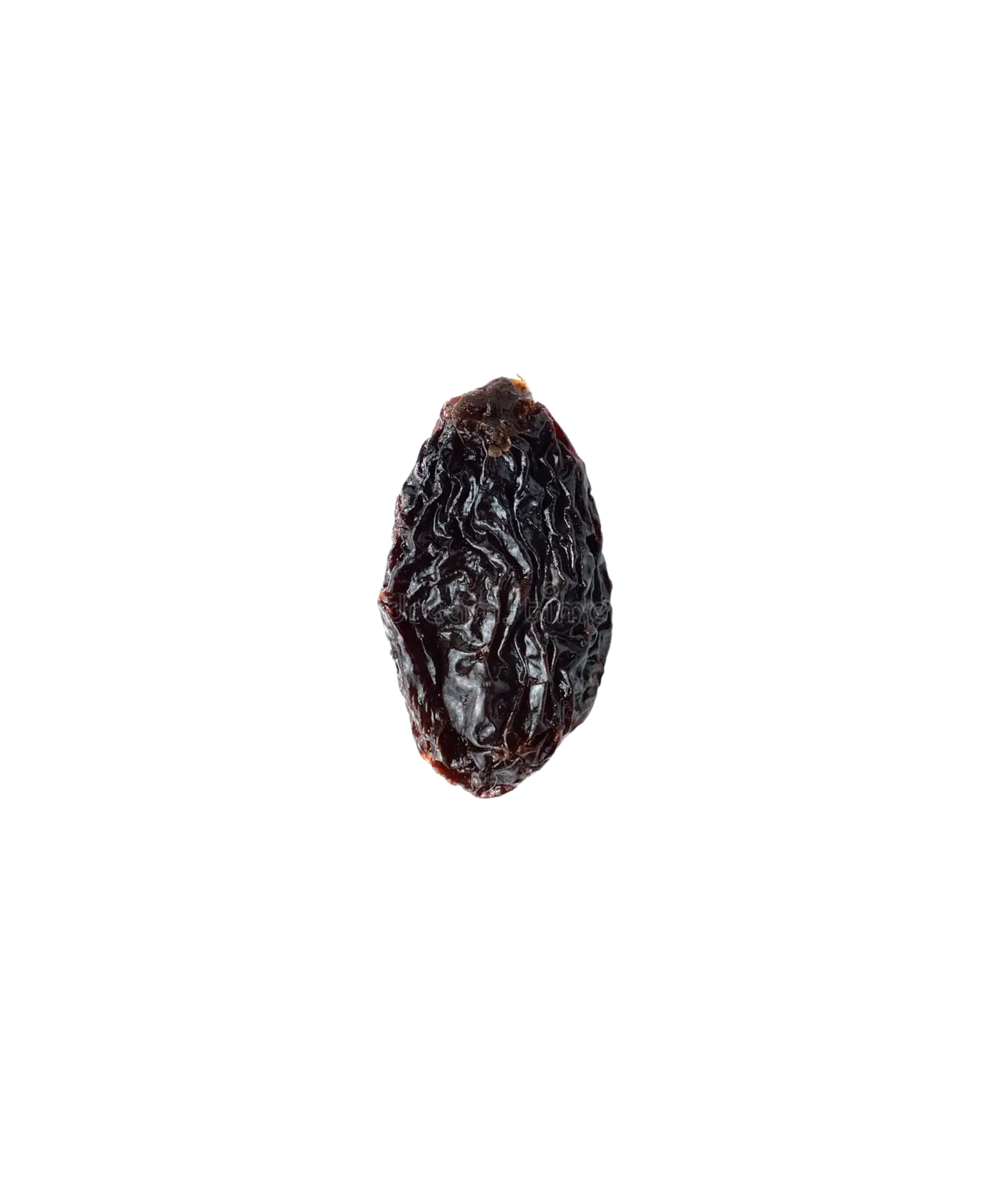 زبيب أسود